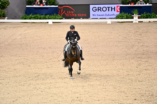  | Schwiebert, Rainer - Helenenhofs Catoo - Holst_16 