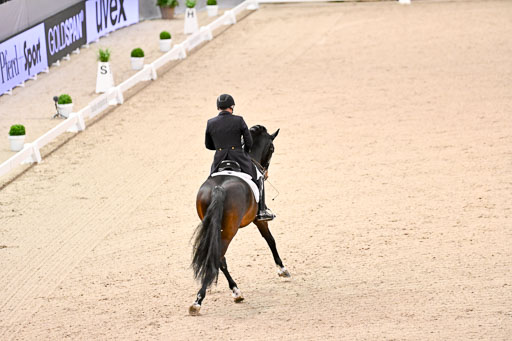  | Schwiebert, Rainer - Helenenhofs Catoo - Holst_17 