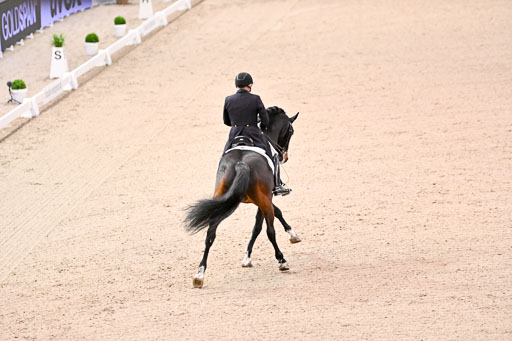  | Schwiebert, Rainer - Helenenhofs Catoo - Holst_18 