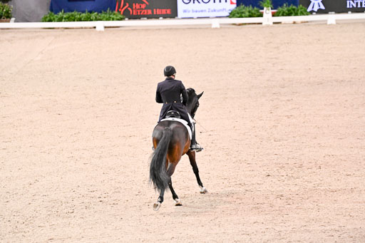  | Schwiebert, Rainer - Helenenhofs Catoo - Holst_19 