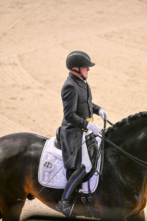  | Schwiebert, Rainer - Helenenhofs Catoo - Holst_21 