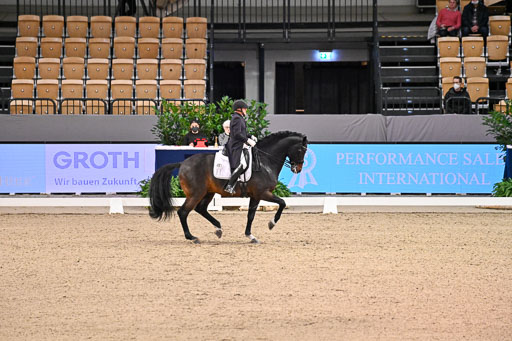  | Schwiebert, Rainer - Helenenhofs Catoo - Holst_23 