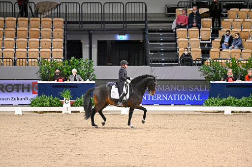  | Schwiebert, Rainer - Helenenhofs Catoo - Holst_24 