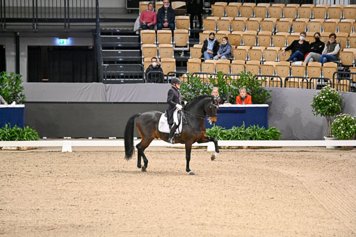  | Schwiebert, Rainer - Helenenhofs Catoo - Holst_25 