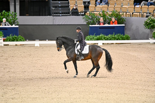  | Schwiebert, Rainer - Helenenhofs Catoo - Holst_28 