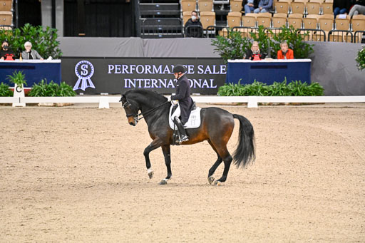  | Schwiebert, Rainer - Helenenhofs Catoo - Holst_29 