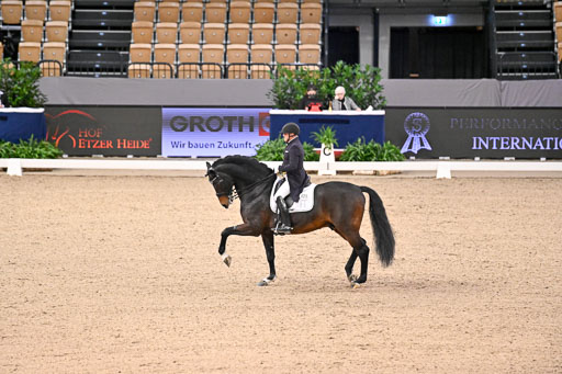  | Schwiebert, Rainer - Helenenhofs Catoo - Holst_31 