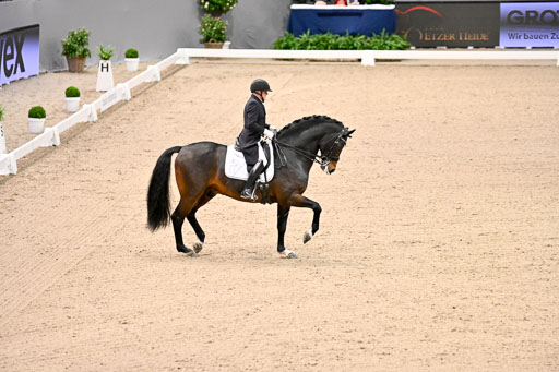  | Schwiebert, Rainer - Helenenhofs Catoo - Holst_33 