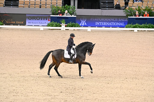  | Schwiebert, Rainer - Helenenhofs Catoo - Holst_35 