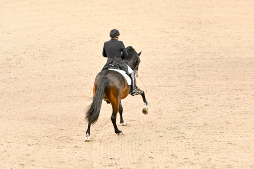  | Schwiebert, Rainer - Helenenhofs Catoo - Holst_38 