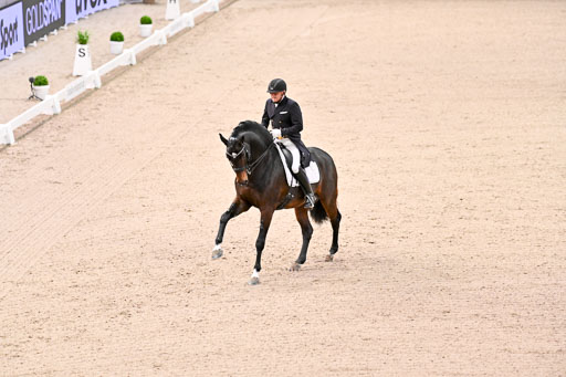  | Schwiebert, Rainer - Helenenhofs Catoo - Holst_42 