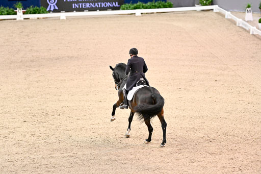  | Schwiebert, Rainer - Helenenhofs Catoo - Holst_43 