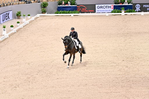  | Schwiebert, Rainer - Helenenhofs Catoo - Holst_44 