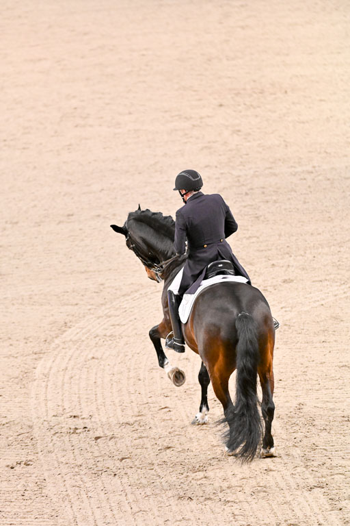  | Schwiebert, Rainer - Helenenhofs Catoo - Holst_45 