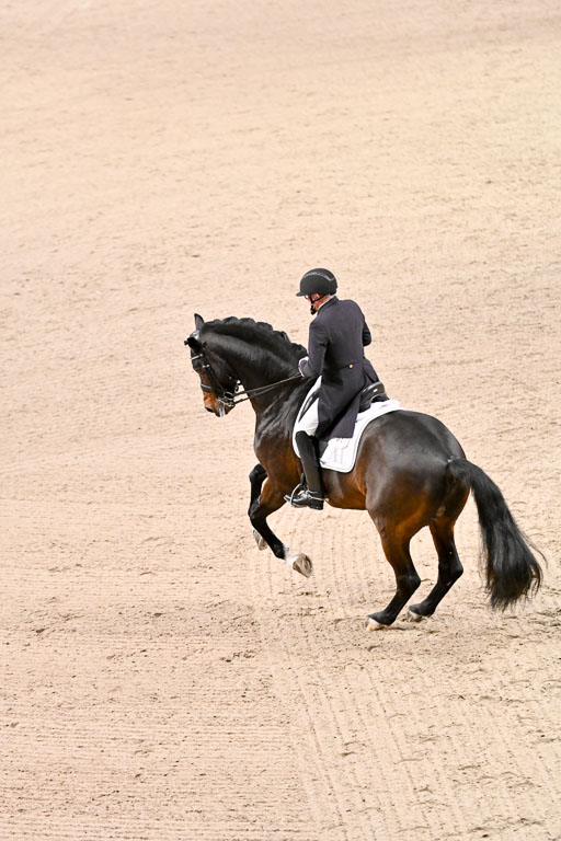  | Schwiebert, Rainer - Helenenhofs Catoo - Holst_46 