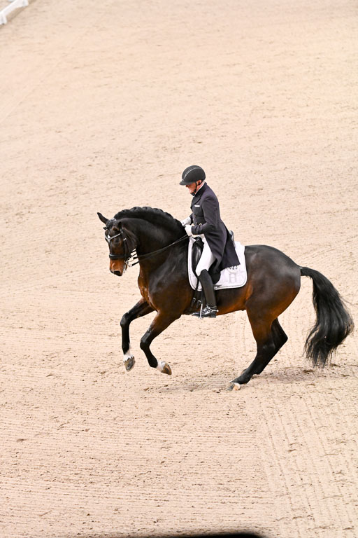  | Schwiebert, Rainer - Helenenhofs Catoo - Holst_47 