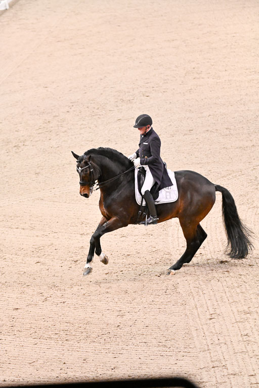  | Schwiebert, Rainer - Helenenhofs Catoo - Holst_48 