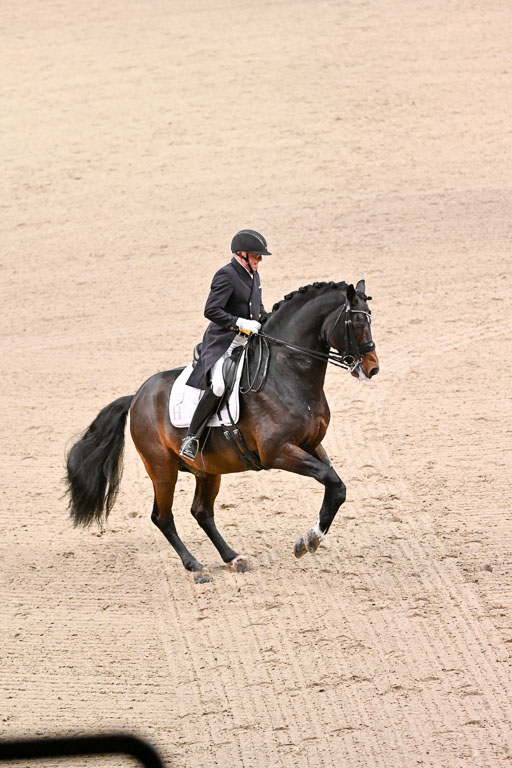  | Schwiebert, Rainer - Helenenhofs Catoo - Holst_49 