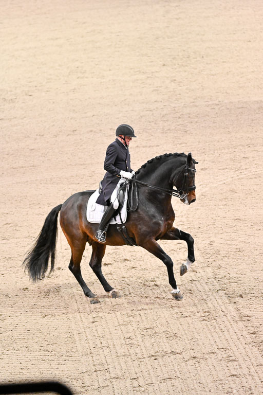  | Schwiebert, Rainer - Helenenhofs Catoo - Holst_50 