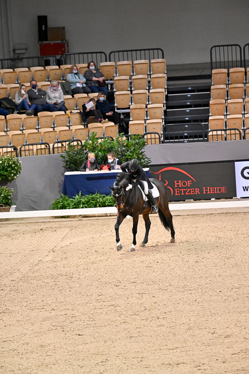  | Schwiebert, Rainer - Helenenhofs Catoo - Holst_52 