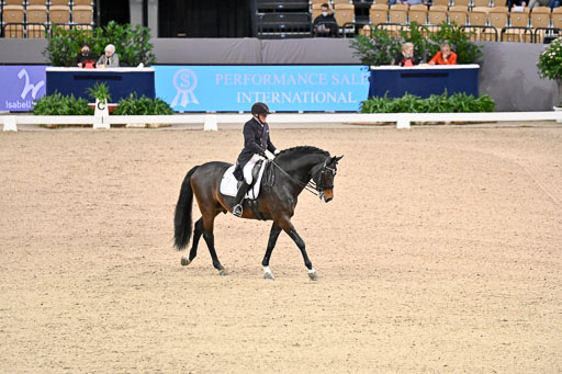  | Schwiebert, Rainer - Helenenhofs Catoo - Holst_54 