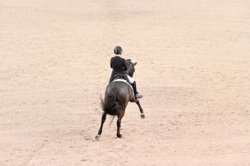  | Waldmann, Lena - Cadeau Noiir - Hann_25 