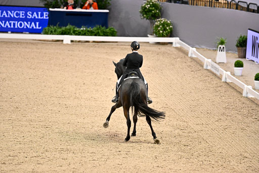  | Waldmann, Lena - Cadeau Noiir - Hann_26 