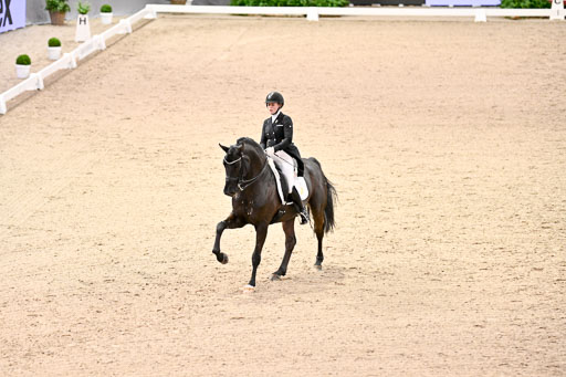 VR Classics Neumünster Dressage
