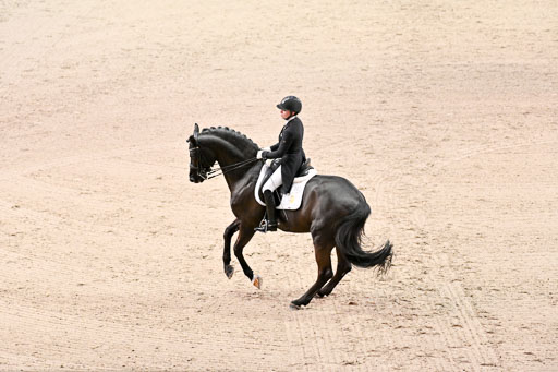  | Waldmann, Lena - Cadeau Noiir - Hann_30 