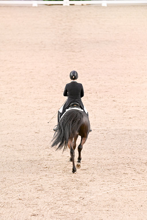  | Waldmann, Lena - Cadeau Noiir - Hann_31 