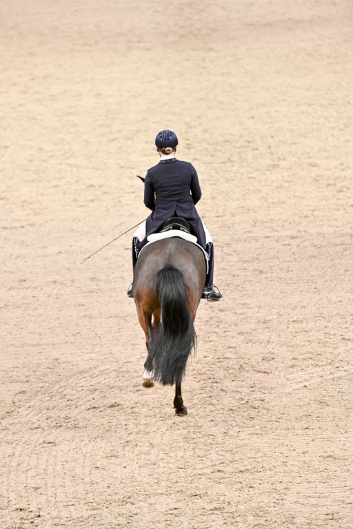  | Wego-Engelmeyer, Nicole - Saphir Royal - Rhld_01 