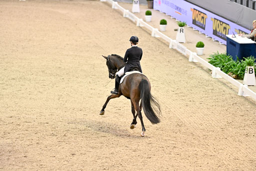  | Wego-Engelmeyer, Nicole - Saphir Royal - Rhld_03 