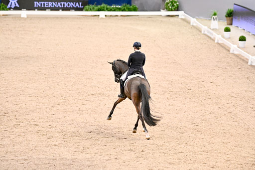  | Wego-Engelmeyer, Nicole - Saphir Royal - Rhld_04 