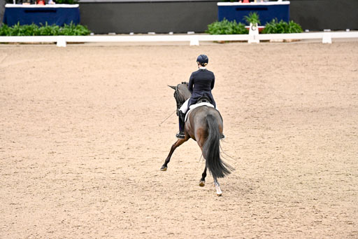  | Wego-Engelmeyer, Nicole - Saphir Royal - Rhld_05 