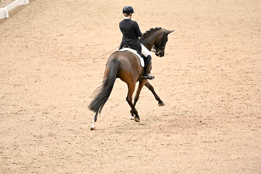  | Wego-Engelmeyer, Nicole - Saphir Royal - Rhld_07 