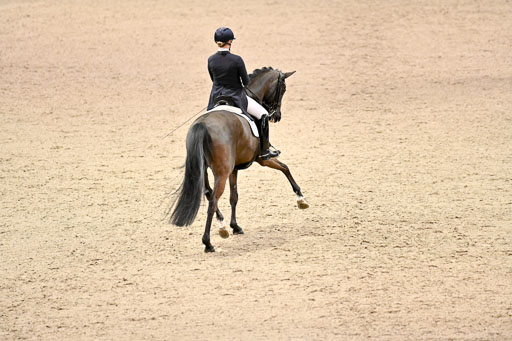  | Wego-Engelmeyer, Nicole - Saphir Royal - Rhld_08 