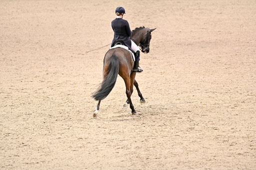  | Wego-Engelmeyer, Nicole - Saphir Royal - Rhld_09 