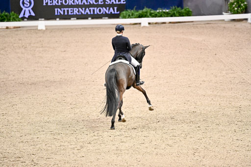  | Wego-Engelmeyer, Nicole - Saphir Royal - Rhld_10 