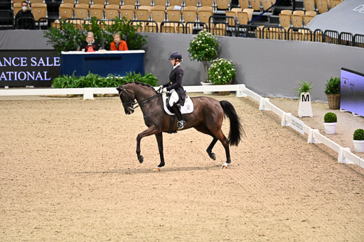  | Wego-Engelmeyer, Nicole - Saphir Royal - Rhld_12 