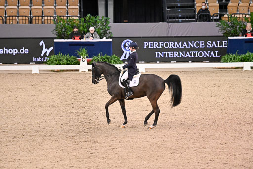  | Wego-Engelmeyer, Nicole - Saphir Royal - Rhld_14 