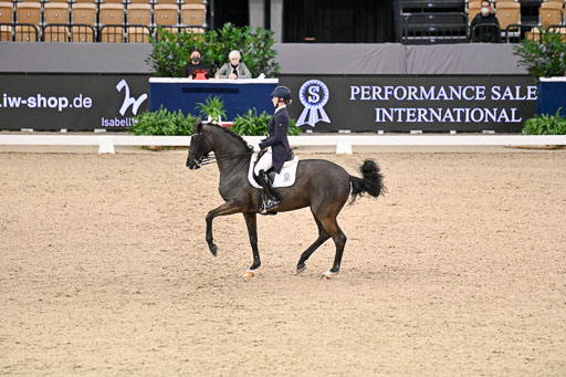  | Wego-Engelmeyer, Nicole - Saphir Royal - Rhld_16 