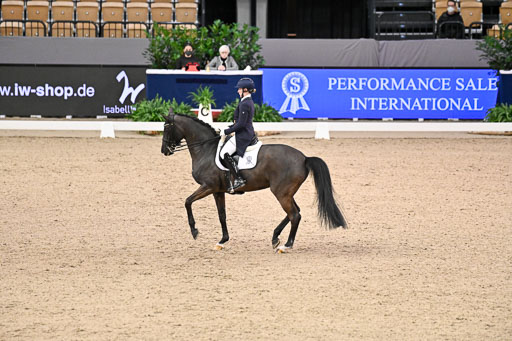  | Wego-Engelmeyer, Nicole - Saphir Royal - Rhld_17 