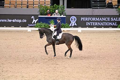  | Wego-Engelmeyer, Nicole - Saphir Royal - Rhld_18 