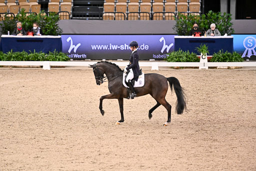  | Wego-Engelmeyer, Nicole - Saphir Royal - Rhld_19 