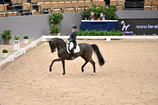  | Wego-Engelmeyer, Nicole - Saphir Royal - Rhld_20 