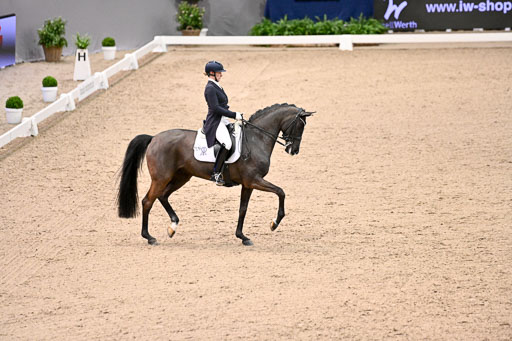  | Wego-Engelmeyer, Nicole - Saphir Royal - Rhld_21 