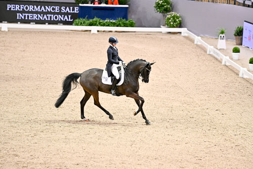  | Wego-Engelmeyer, Nicole - Saphir Royal - Rhld_24 