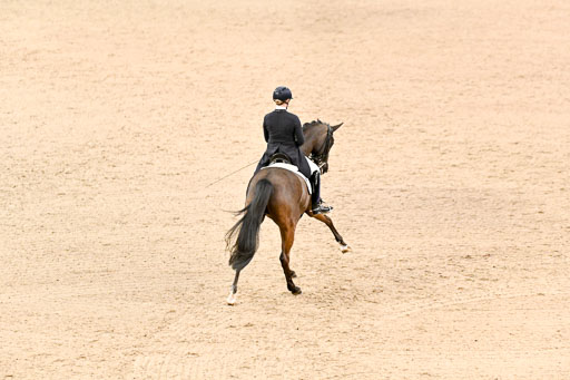  | Wego-Engelmeyer, Nicole - Saphir Royal - Rhld_25 