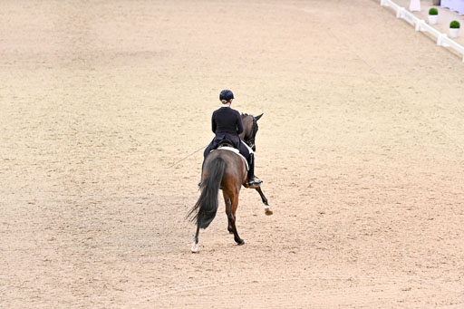  | Wego-Engelmeyer, Nicole - Saphir Royal - Rhld_26 