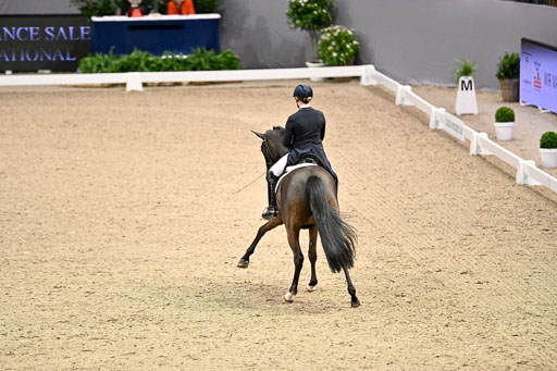  | Wego-Engelmeyer, Nicole - Saphir Royal - Rhld_27 